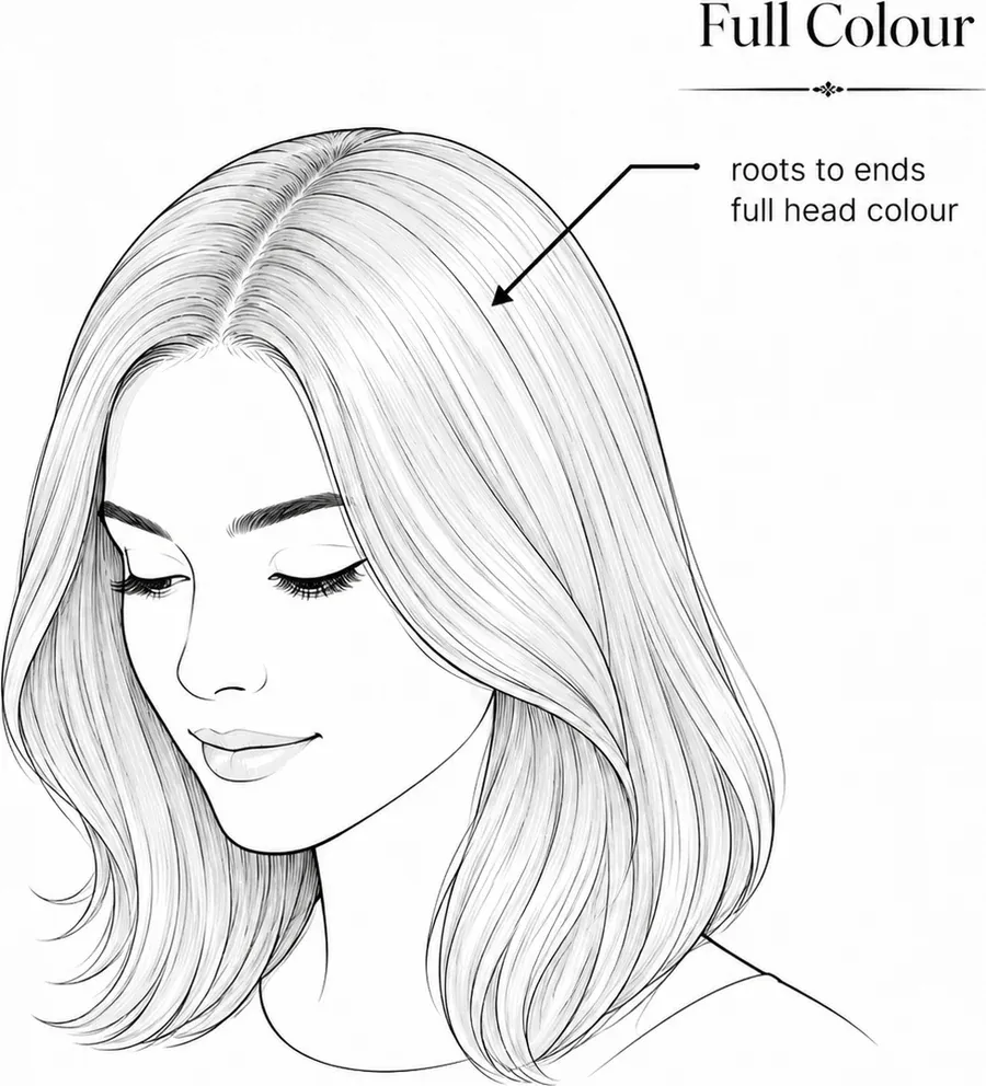 Diagram showing all-over colour from roots to ends