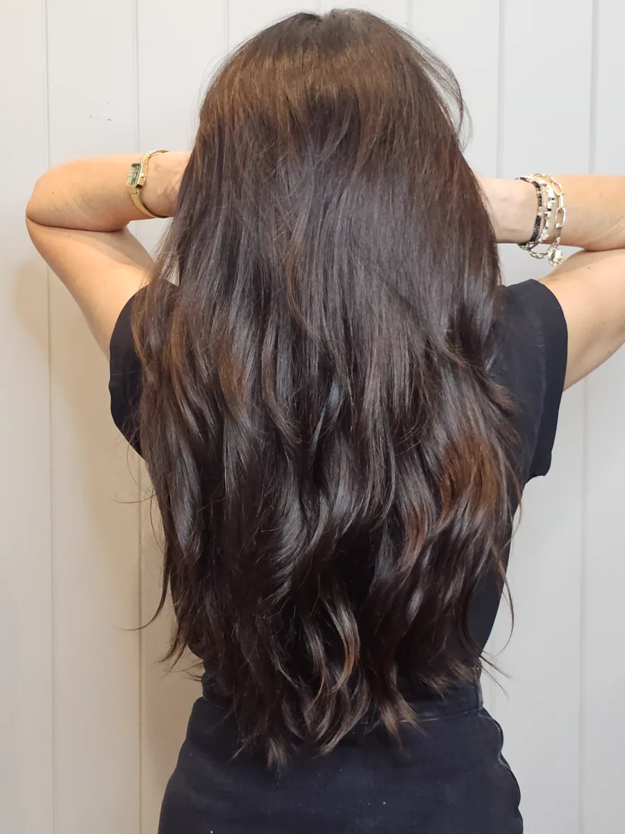 Long glossy brunette seen from behind, Rokk Ebony Malvern.